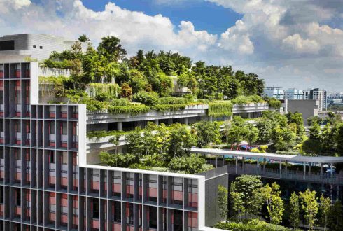 ساختمان های سبز، گامی به سمت آینده پایدار